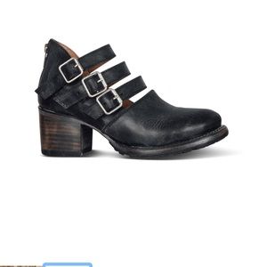 Dawson from Freebird by Steven